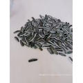 New Crop Sunflower Seeds Type 5009 Market Price In China